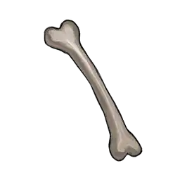 Bone.png