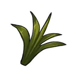 Plant Fibre.png