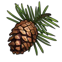 File:Pine Cone.webp