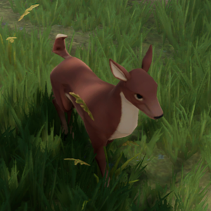 Deer.png