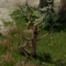 Treant