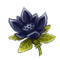 Highland-Lotus.webp