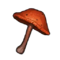 Trippy-Shroom.webp