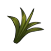 Plant Fibre