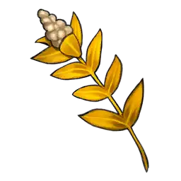 File:Highland Lotus Seeds.webp