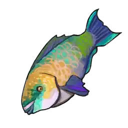 File:Rainbow-Trout.webp