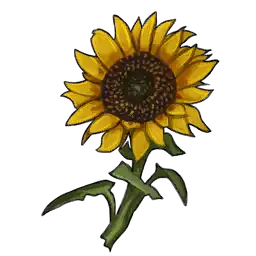 File:Sunflower.webp