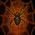 Spiderling.webp