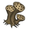 Ghost Shroom Spores