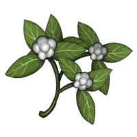 Cotton Seed - V Rising Wiki
