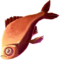 Blood Snapper