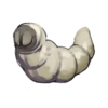 Silkworm