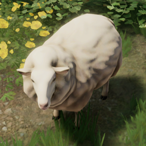 Sheep.png