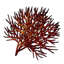 File:Fire Blossom Seed.webp
