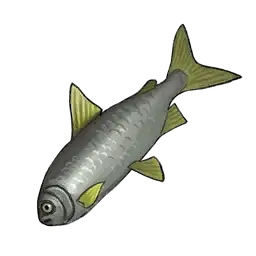 File:The-Fish.webp